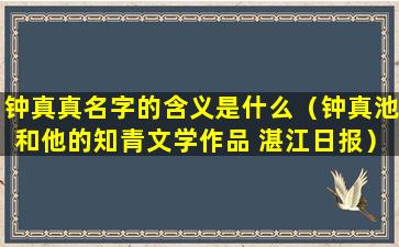 钟真真名字的含义是什么（钟真池和他的知青文学作品 湛江日报）